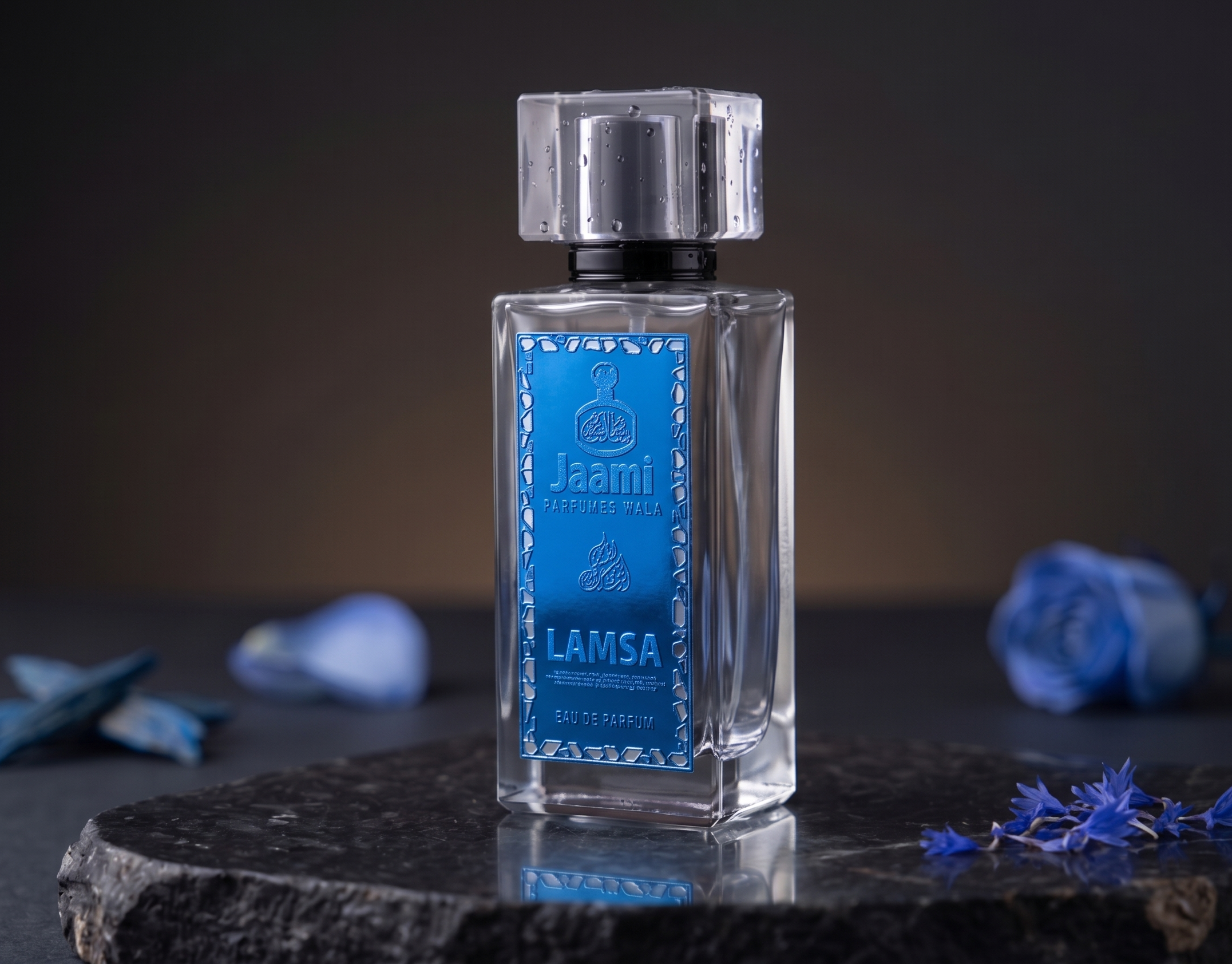 LAMSA